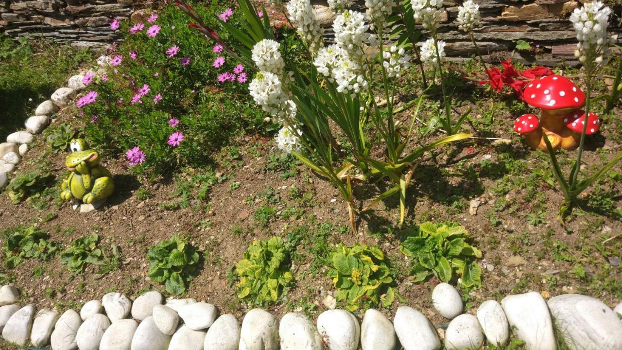 Vivienda De Uso Turistico Carballo Blanco 1 Barral 外观 照片